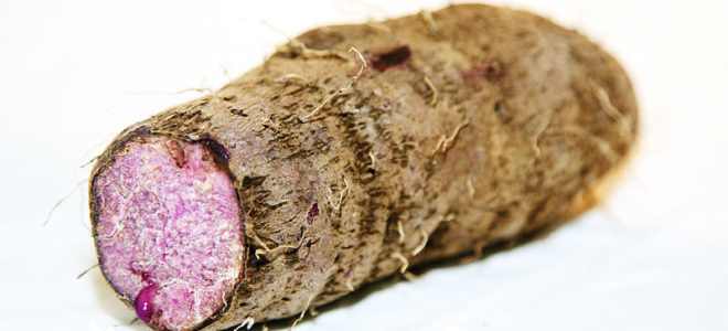 Want to Get Pregnant? Try Eating Yams, an Unlikely Fertility Superfood