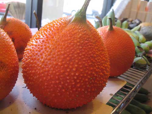Thailand Original 10 Seeds Natural Organic GAC FRUIT Momordica Free Shipping 