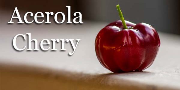 Best Acerola Cherry Powders and Extracts