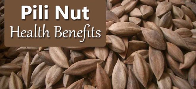 Pili Nuts: The Complete Guide to Benefits, Uses and Storage