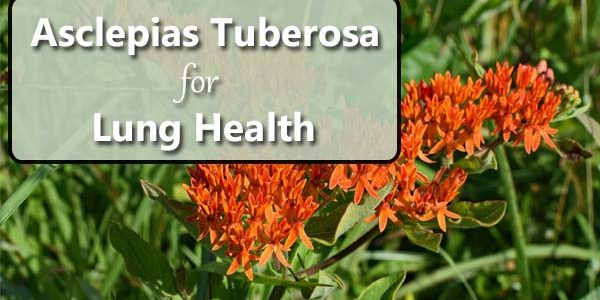Asclepias Tuberosa (Pleurisy Root): Why This Plant Should Be in Your First Aid Kit