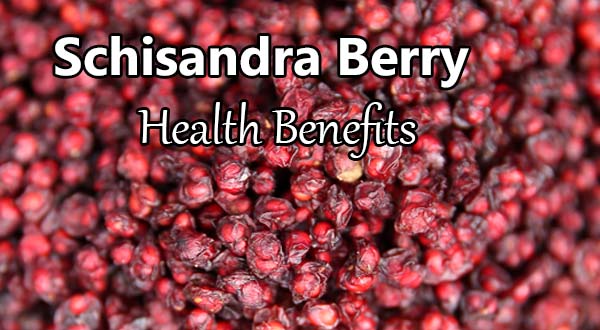 schisandra berry health benefits
