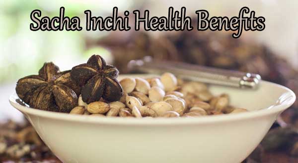 sacha inchi health benefits