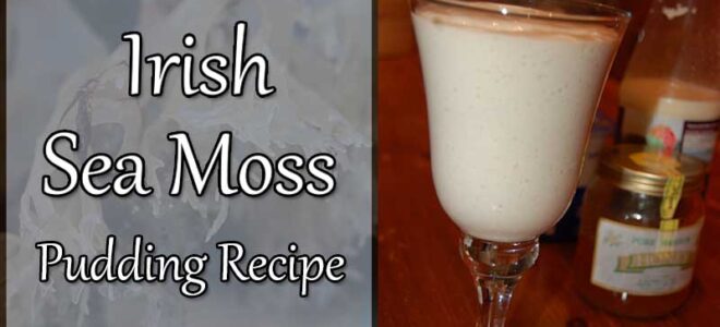 Irish Sea Moss Pudding Recipe