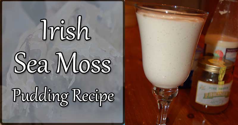 Irish sea moss pudding recipe