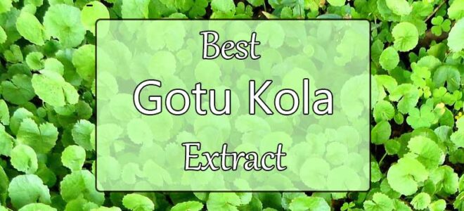 Best Gotu Kola Extract (Centella Asiatica)