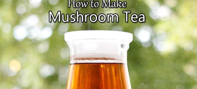 How to Make Tea from Any Dried Mushroom