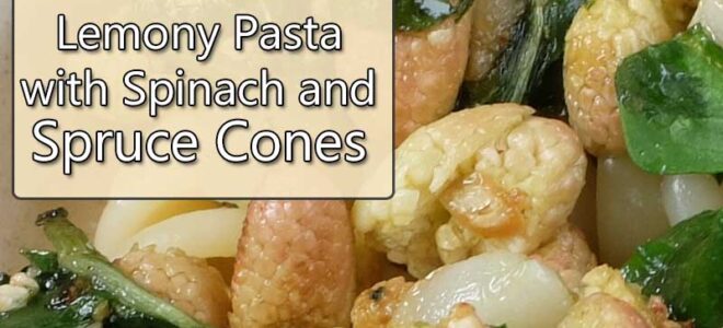 Pasta with Spruce Cones Recipe
