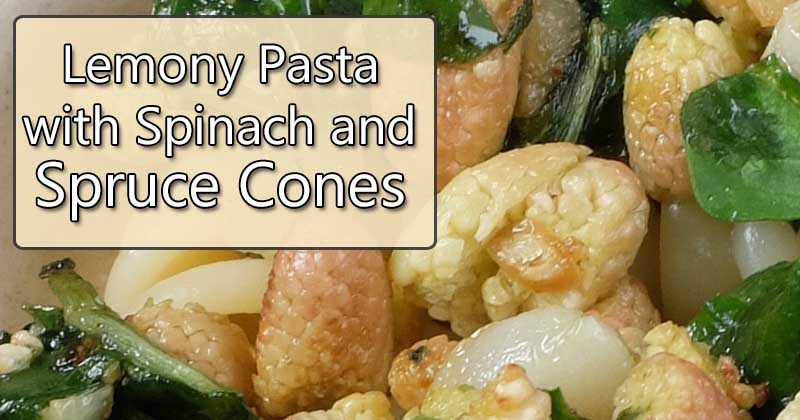 pasta with spinach and spruce cones