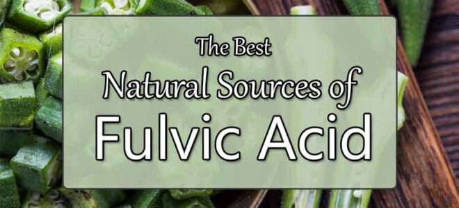 6 Best Natural Sources of Fulvic Acid