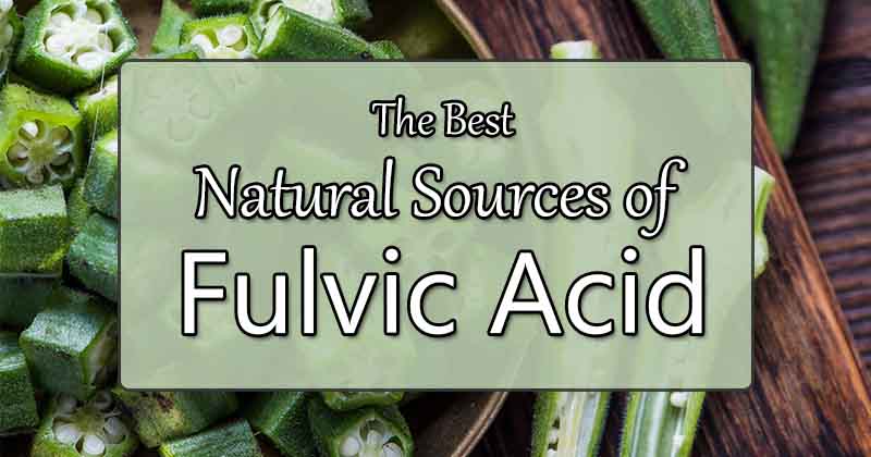 natural sources of fulvic acid