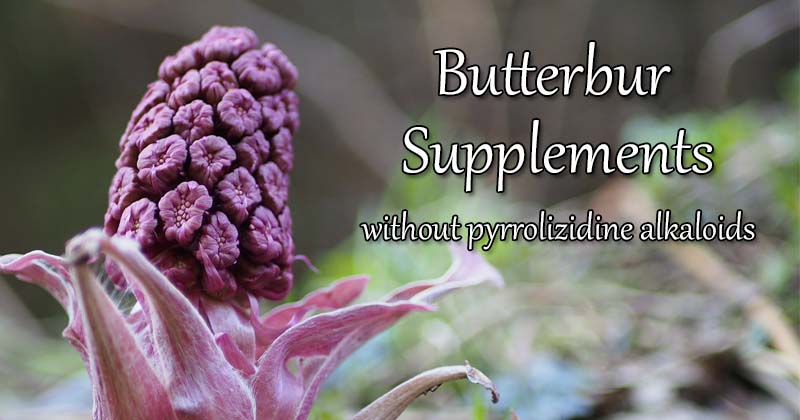 best butterbur supplements