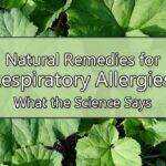 natural remedies respiratory allergies
