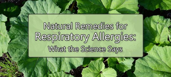 Herbal Remedies for Respiratory Allergies: What the Science Says