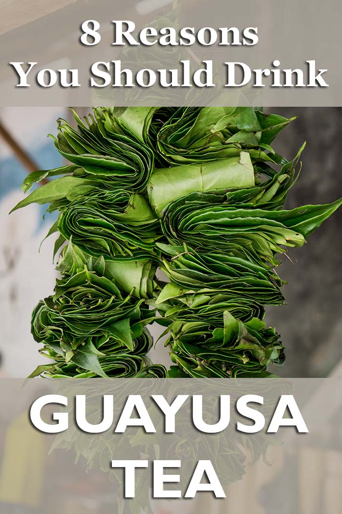 guayusa tea benefits
