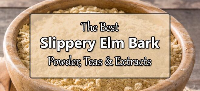 Best Slippery Elm Powders, Teas and Extracts