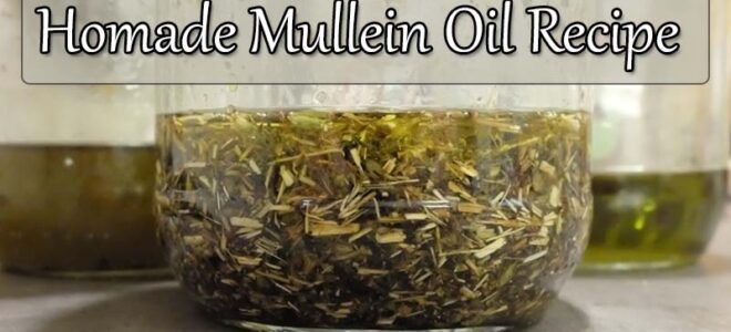 Homemade Mullein Extract (Using Dry Leaves and Flowers)