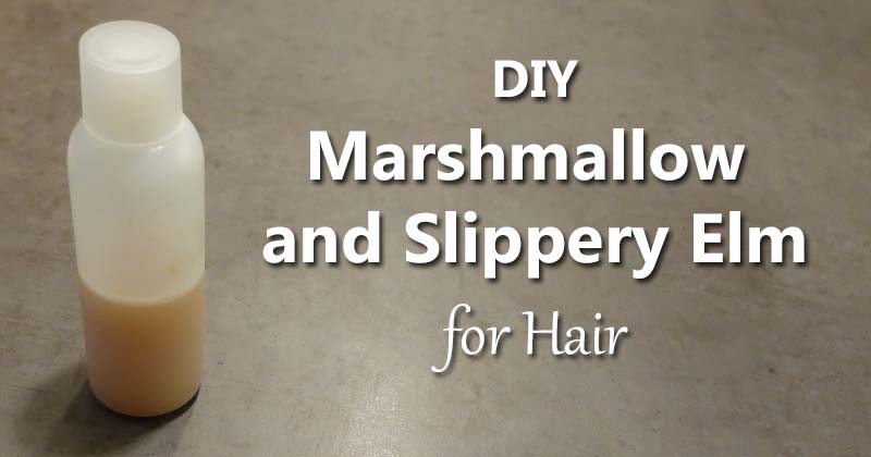 DIY Slippery Elm and Marshmallow Root Hair Recipes - Superfood Journal