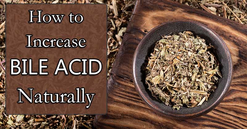 increase bile acid naturally