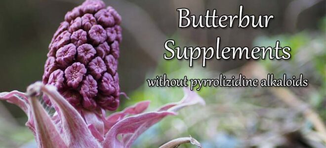 Best Butterbur Supplements (without Pyrrolizidine Alkaloids)