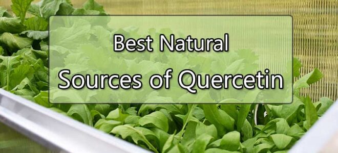 Best Natural Sources of Quercetin